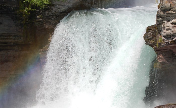 “Wet” and “Wild”